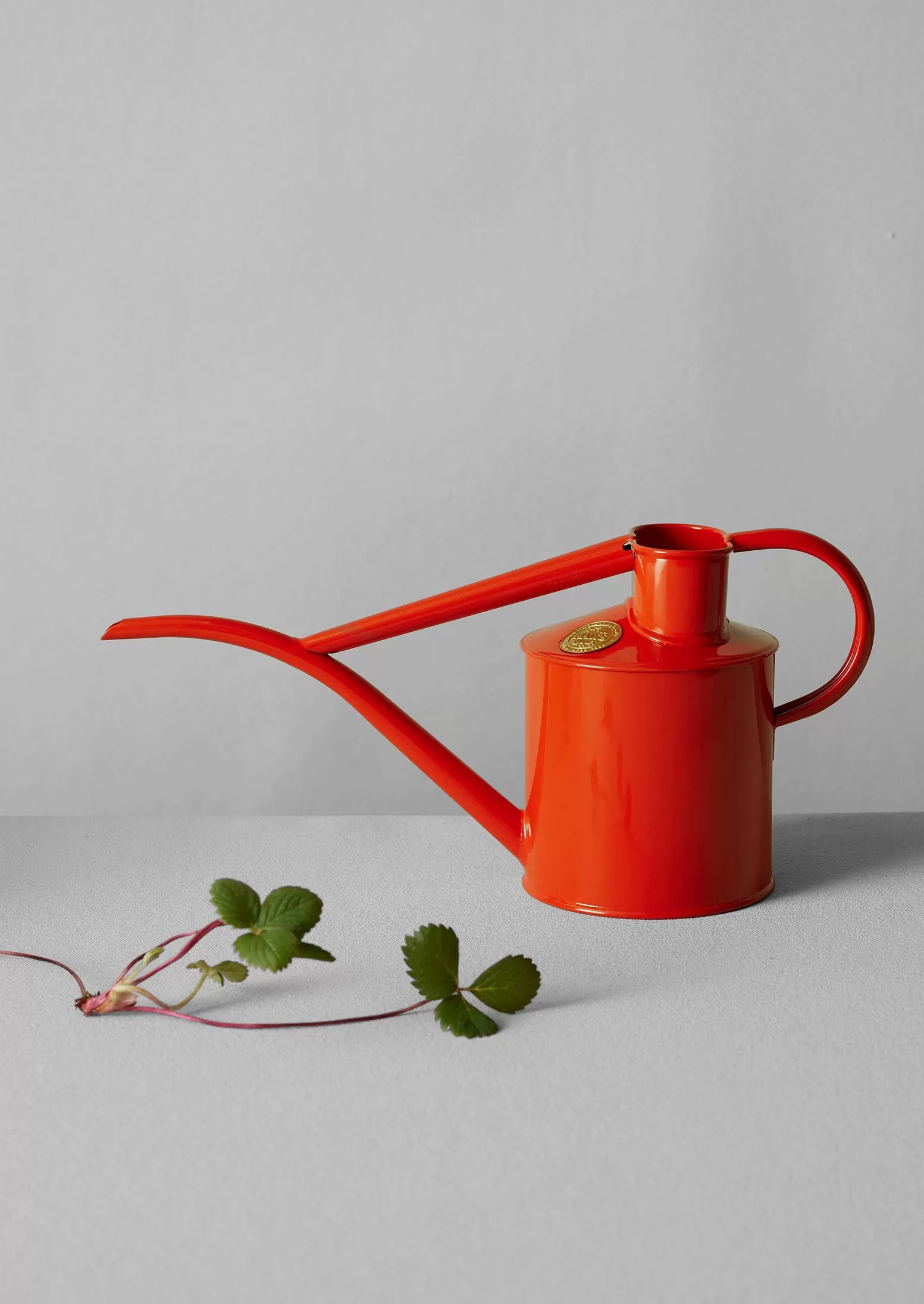 Haws Fazeley Flow Indoor Watering Can | Nasturtium