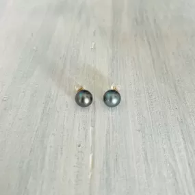 Tahitian Pearl Studs